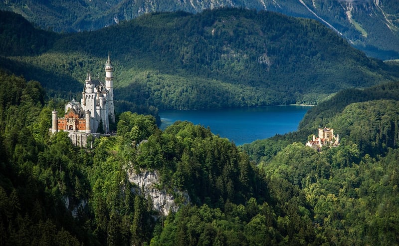 Enchanted Castle in the Forest